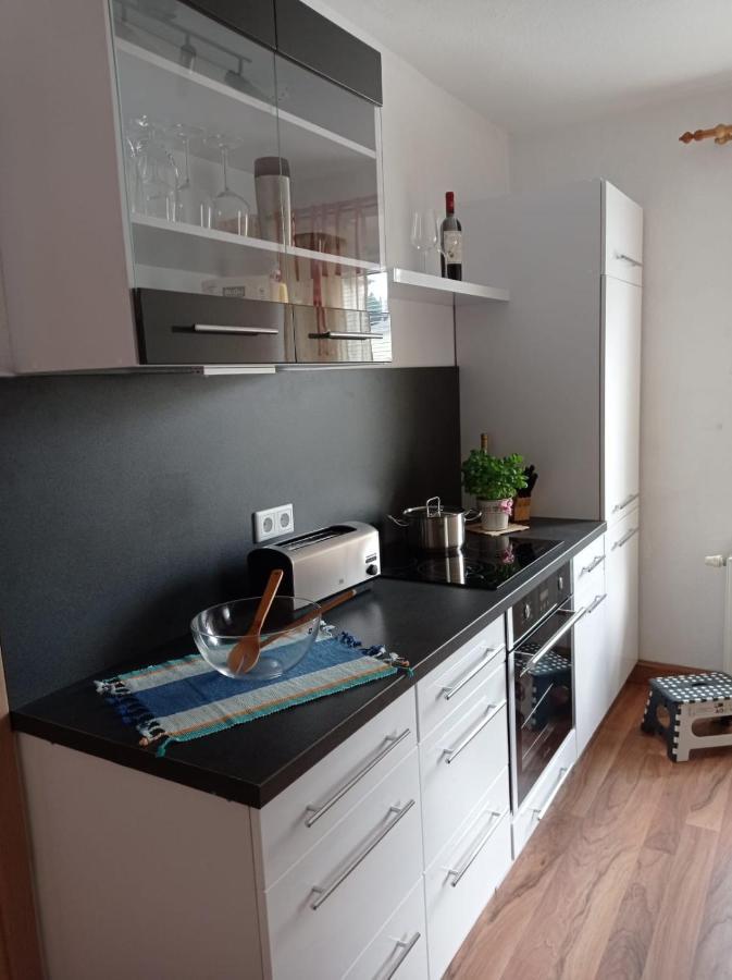 Ferienwohnung Greifenbach, Gartennutzung, Haustiere Willkommen Geyer Buitenkant foto