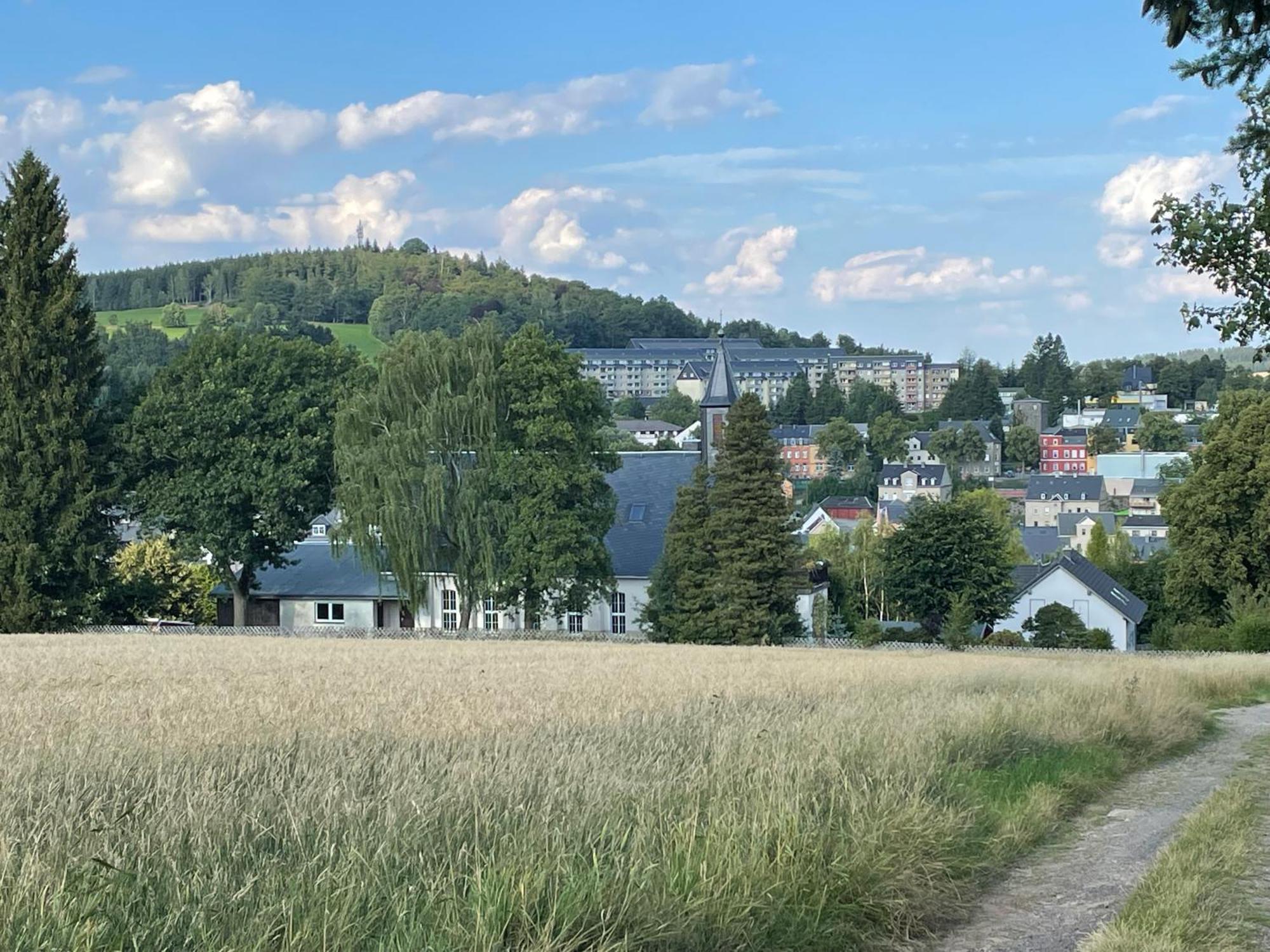 Ferienwohnung Greifenbach, Gartennutzung, Haustiere Willkommen Geyer Buitenkant foto