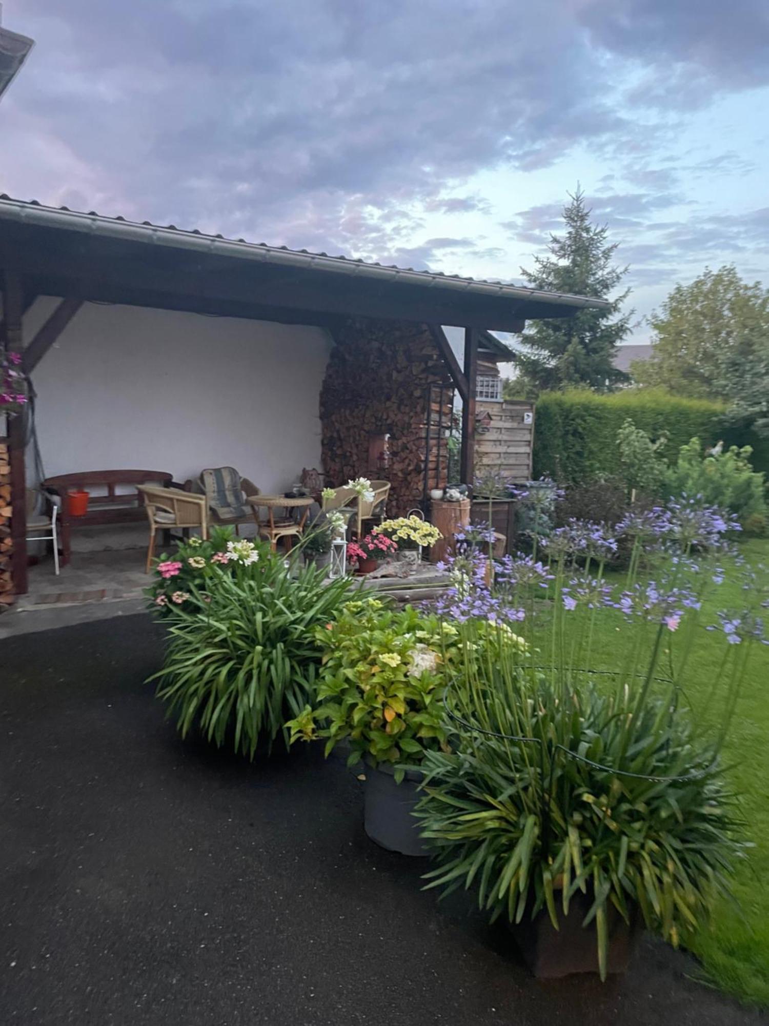 Ferienwohnung Greifenbach, Gartennutzung, Haustiere Willkommen Geyer Buitenkant foto